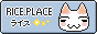 rice's button